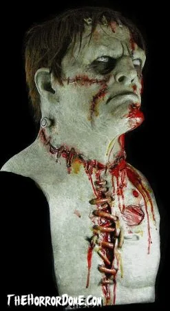 The Horror Dome "The Monster" HD Studios Pro Mask 9 The Horror Dome "The Monster" HD Studios Pro Mask -Cheap Horror Attire Store the monster hd studios pro halloween mask 28754341199920