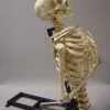 DC PROPS "Torso Lifter" Halloween Animatronic Mechanism