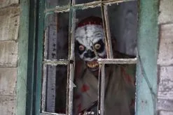 The Horror Dome "Voodoo Witch Doctor" HD Studios Pro Mask -Cheap Horror Attire Store voodoo witch doctor hd studios pro halloween mask 12778390618160