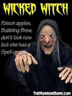 The Horror Dome "Wicked Witch" HD Comfort Costume -Cheap Horror Attire Store wicked witch hd studios comfort fit halloween costume 14335789858864