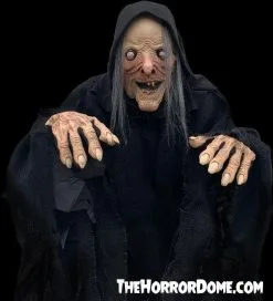 The Horror Dome "Wicked Witch" HD Comfort Costume -Cheap Horror Attire Store wicked witch hd studios comfort fit halloween costume 14335880822832