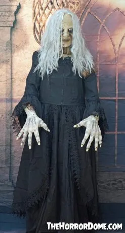 The Horror Dome "Witchy Woman" HD Studios Costume -Cheap Horror Attire Store witchy woman hd studios halloween costume 28885599977520
