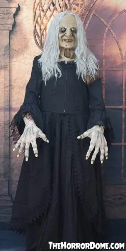 The Horror Dome "Witchy Woman" HD Studios Costume -Cheap Horror Attire Store witchy woman hd studios halloween costume 28885601943600
