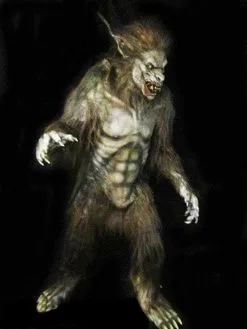 Midnight Studios "Wolf Man" Professional Costume