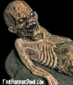 The Horror Dome "Zombie Baby" HD Studios Halloween Puppet Prop 11 The Horror Dome "Zombie Baby" HD Studios Halloween Puppet Prop -Cheap Horror Attire Store zombie baby hd studios halloween puppet prop 28757064253488