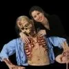 The Horror Dome "Zombie Riser - Rib Cage" Graveyard Halloween Prop