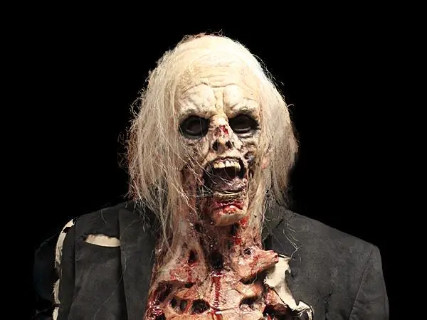 The Horror Dome "Zombie Walker" HD Studios Pro Costume 4 The Horror Dome "Zombie Walker" HD Studios Pro Costume - Image 2
