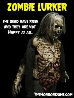 The Horror Dome "Zombies" HD Studios Pro Costumes - 3x Package Deal 10 The Horror Dome "Zombies" HD Studios Pro Costumes - 3x Package Deal -Cheap Horror Attire Store zombies hd studios pro halloween costumes 3x package deal 14334963154992