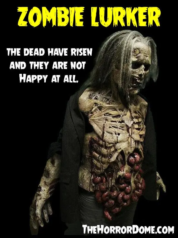 The Horror Dome "Zombies" HD Studios Pro Costumes - 3x Package Deal 5 The Horror Dome "Zombies" HD Studios Pro Costumes - 3x Package Deal - Image 3